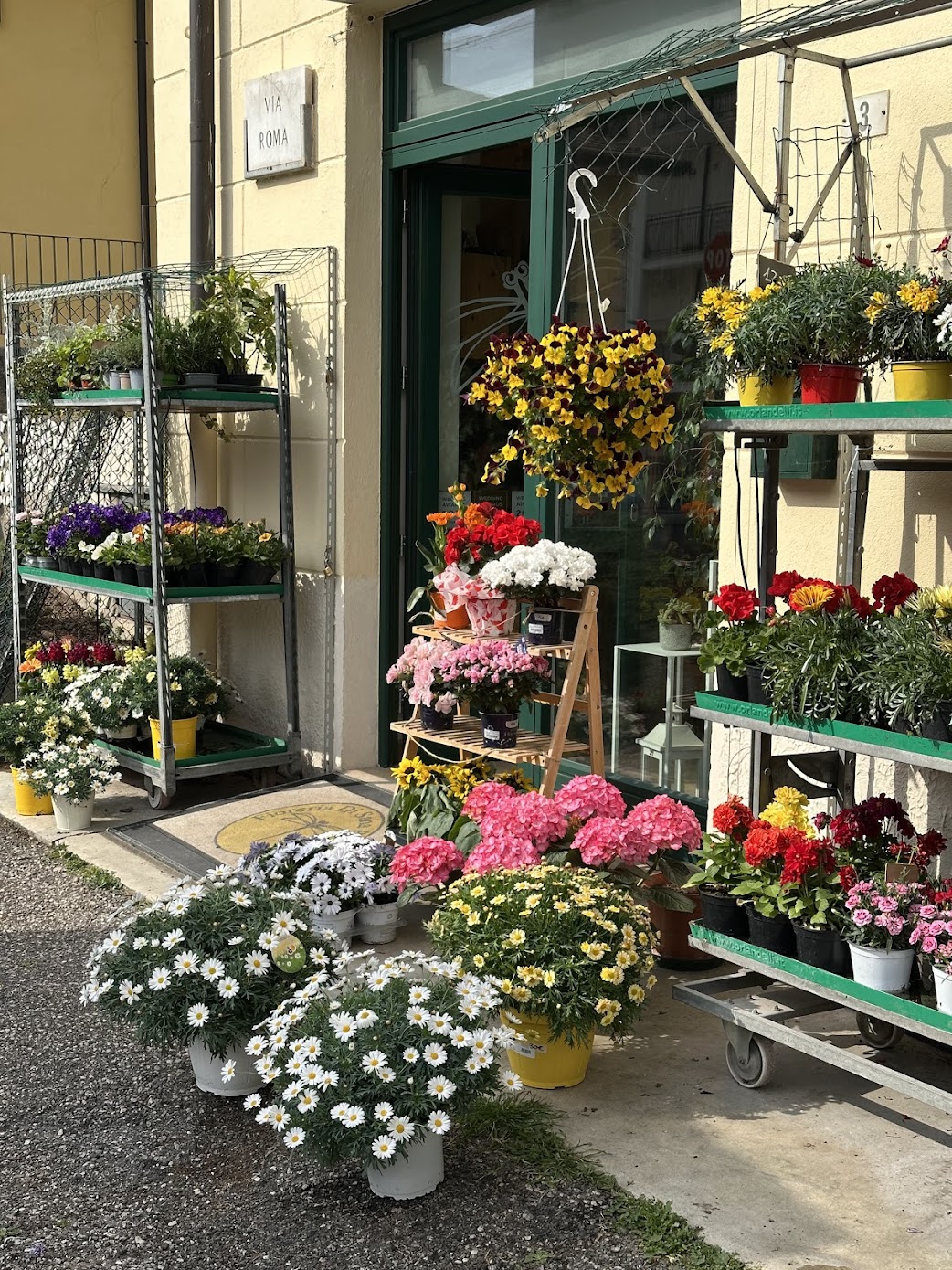 Foto 2