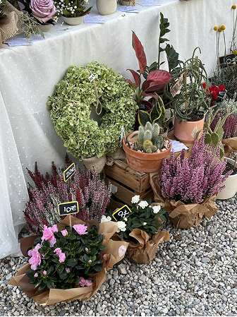 Immagine 1 Colonna 2