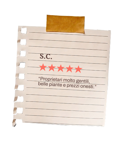 Recensione S.C.